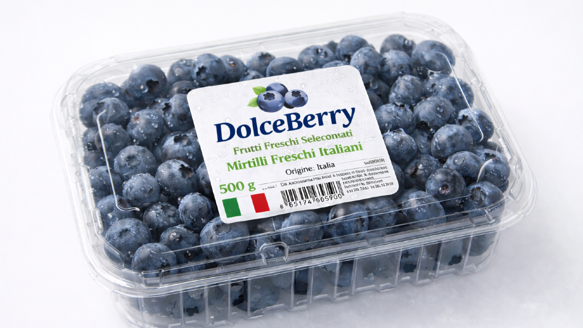 Altyapı Kazı ve Hafriyat